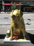 Seattle photos.jpg