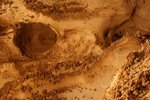 n852434686_1023206_4330.jpg