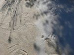 n852434686_1057662_783.jpg