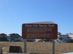 n852434686_1057663_1048.jpg