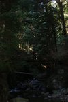 n852434686_622978_4468.jpg