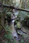 n852434686_622979_4759.jpg