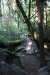 n852434686_652196_9373.jpg