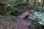 n852434686_652197_9723.jpg